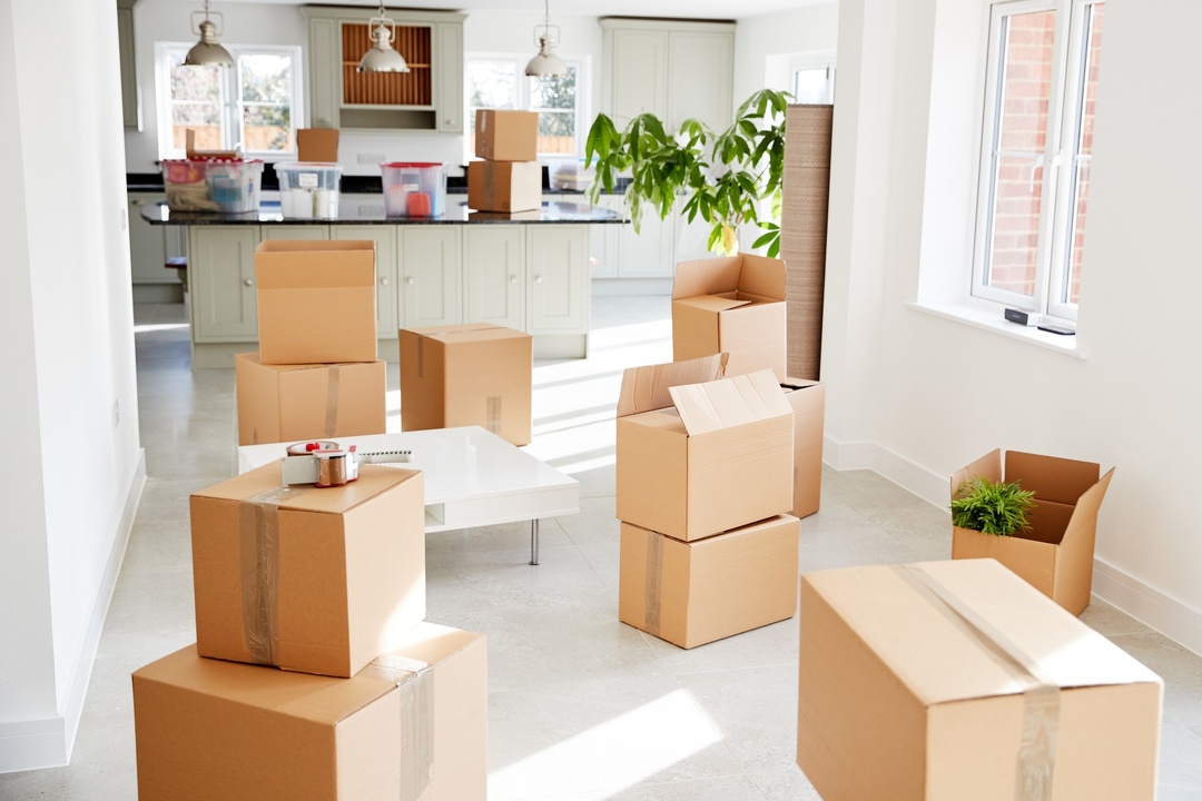 Experienced Mover Services in Glenview, IL